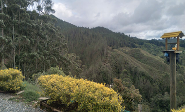 finca en venta en vía pantanillo. Cod V400363