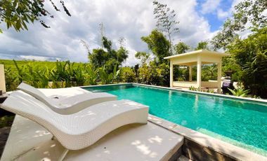 Newly Renovated 4 Bedroom Villa with Amazing Rice Field Views