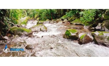 En venta preciosa finca cafetalera y de cítricos en Boquete