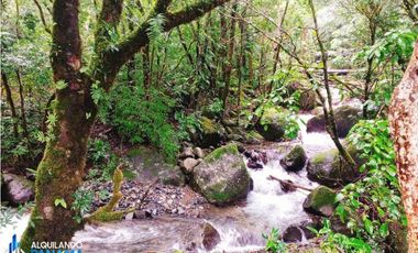 En venta preciosa finca cafetalera y de cítricos en Boquete