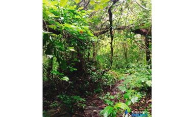 En venta preciosa finca cafetalera y de cítricos en Boquete