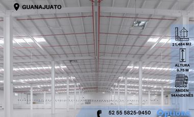 Rent industrial warehouse now in Guanajuato
