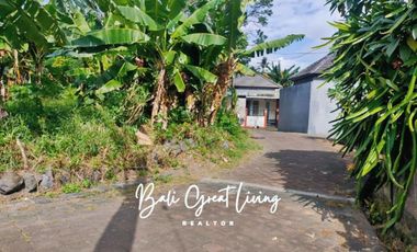 Tanah 700m2 siap bangun di Buduk dekat Canggu