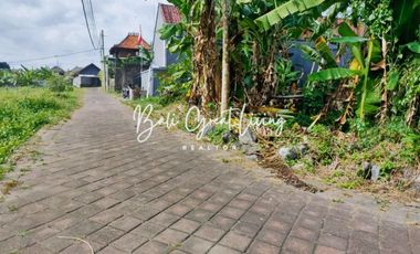 Tanah 700m2 siap bangun di Buduk dekat Canggu