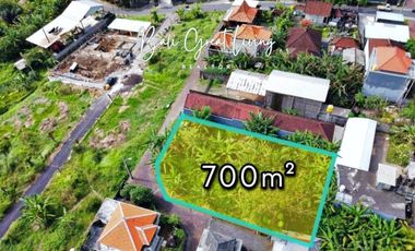 Tanah 700m2 siap bangun di Buduk dekat Canggu
