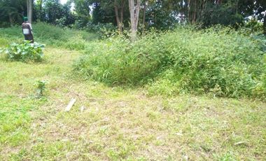 2548 M2 Tanah Strategis dan Bernilai Bisnis Tinggi di jalan Kolonel Masturi, Bandung Barat