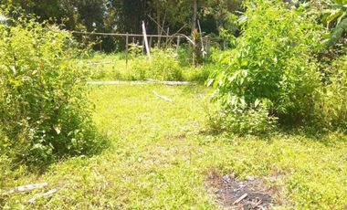 2548 M2 Tanah Strategis dan Bernilai Bisnis Tinggi di jalan Kolonel Masturi, Bandung Barat