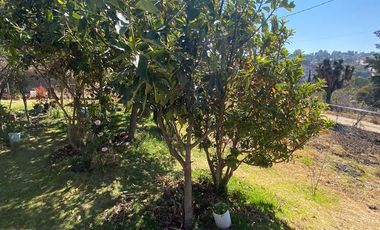 TERRENO EN VENTA EN TEPECTIPAC