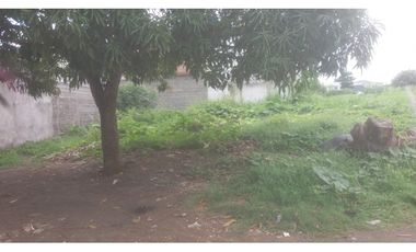 SE VENDE LOTE EN ROSALES DE TACASUAN MONTERIA