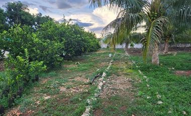 ¡Espectacular Casa Quinta en Venta! Amplio Jardín, con Piscina. Temozon, yuc.