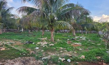 ¡Espectacular Casa Quinta en Venta! Amplio Jardín, con Piscina. Temozon, yuc.