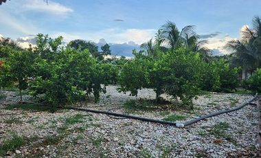¡Espectacular Casa Quinta en Venta! Amplio Jardín, con Piscina. Temozon, yuc.
