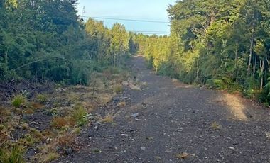 Naturaleza, privacidad e inversión en Puerto Varas