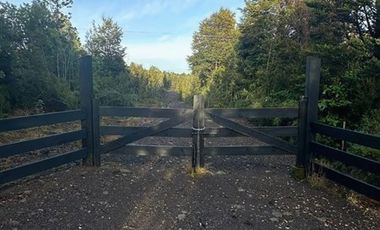 Naturaleza, privacidad e inversión en Puerto Varas