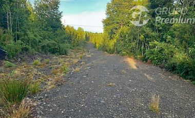 Naturaleza, privacidad e inversión en Puerto Varas
