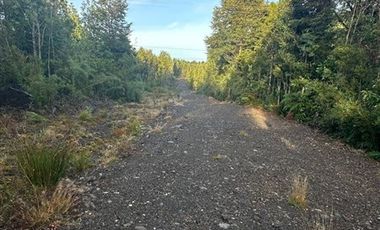 Naturaleza, privacidad e inversión en Puerto Varas