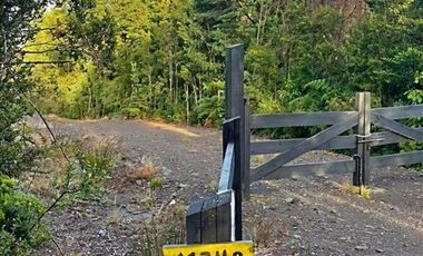 Naturaleza, privacidad e inversión en Puerto Varas