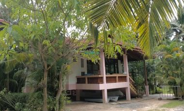 1 Bedroom House for rent in Lipa Noi, Surat Thani