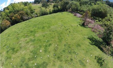 VENTA LOTE TMESIS, SUROESTE ANTIOQUEÑO UNIDAD CERRADA