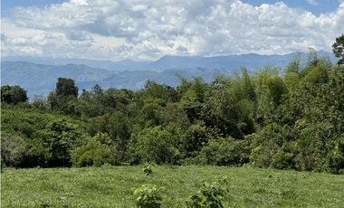 VENTA LOTE TMESIS, SUROESTE ANTIOQUEÑO UNIDAD CERRADA