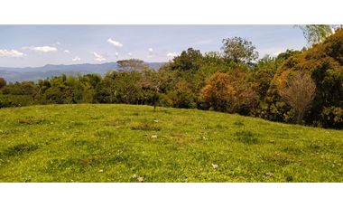 VENTA LOTE TMESIS, SUROESTE ANTIOQUEÑO UNIDAD CERRADA