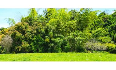 VENTA LOTE TMESIS, SUROESTE ANTIOQUEÑO UNIDAD CERRADA