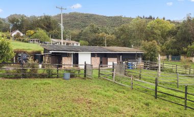 finca en venta en vereda chaleche. Cod V9479568