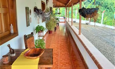 VENTA de FINCAS en PEREIRA