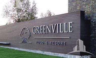 Lote - Greenville Polo