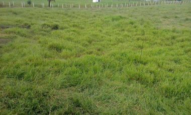 Vendo 290 hectáreas Vía Santo Domingo Quevedo