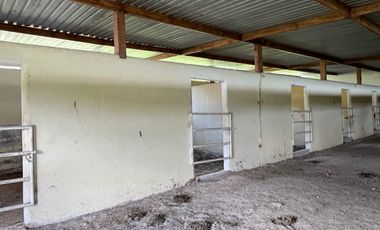 RANCHO EN VENTA, A 5 MIN DE LAS ESTACAS, YAUTEPEC, MORELOS
