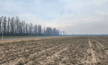 Terreno Construccion  en Venta en Requínoa