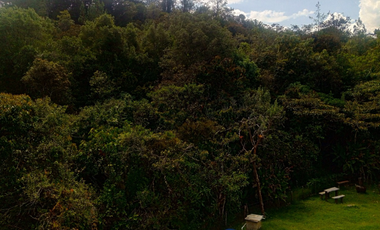 finca en venta en sector la leona. Cod V400610