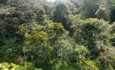 finca en venta en sector la leona. Cod V400610