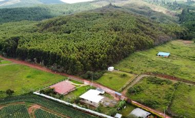 lote en venta en pavas. Cod V14553