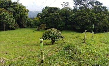 SE VENDEN LOTES EN CONDOMINIO VIA ARMENIA