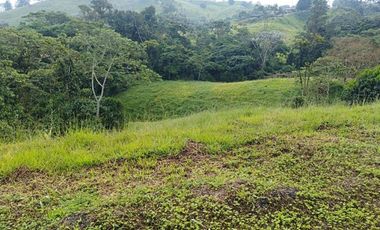 SE VENDEN LOTES EN CONDOMINIO VIA ARMENIA