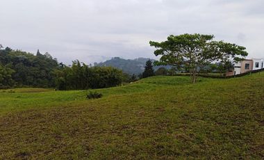 SE VENDEN LOTES EN CONDOMINIO VIA ARMENIA