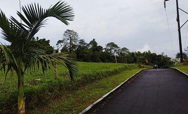 SE VENDEN LOTES EN CONDOMINIO VIA ARMENIA