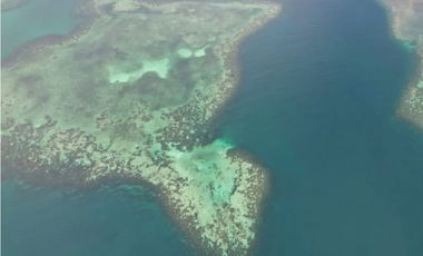 Se Vende Terreno en Bocas del Toro
