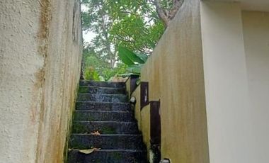 AWAS HABIS, VILLA CANTIK DIJUAL MURAH DI UBUD BALI DENGAN VIEW SAWAH