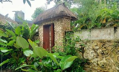 AWAS HABIS, VILLA CANTIK DIJUAL MURAH DI UBUD BALI DENGAN VIEW SAWAH