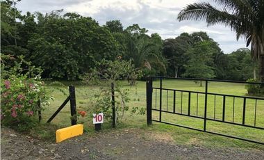 Se Venden Lotes 3,350 Mts La Chorrera Santa Rita USD57,000,oo