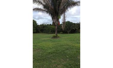 Se Venden Lotes 3,350 Mts La Chorrera Santa Rita USD57,000,oo
