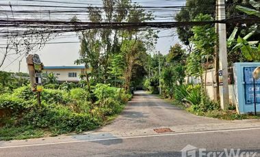 Land for sale in Chang Phueak, Chiang Mai