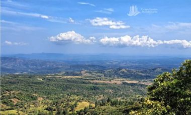 VENDO UNA HECTAREA CON VISTA 360