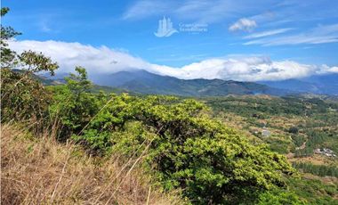 VENDO UNA HECTAREA CON VISTA 360