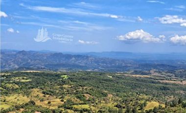 VENDO UNA HECTAREA CON VISTA 360