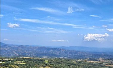 VENDO UNA HECTAREA CON VISTA 360