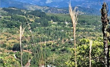 VENDO UNA HECTAREA CON VISTA 360